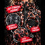Black "Poulettes Sisters" waterproof poncho